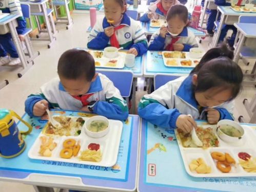 响丁当 国际品牌引领小学生托管新标准